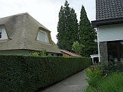 Rieten dak na renovatie