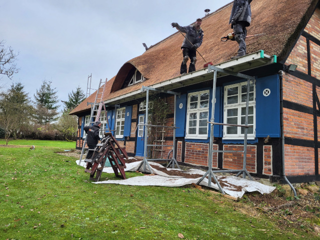  Aktuelles Projekt
