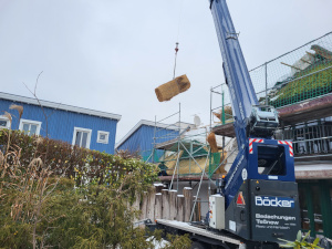 Aktuelles Projekt Reetdach