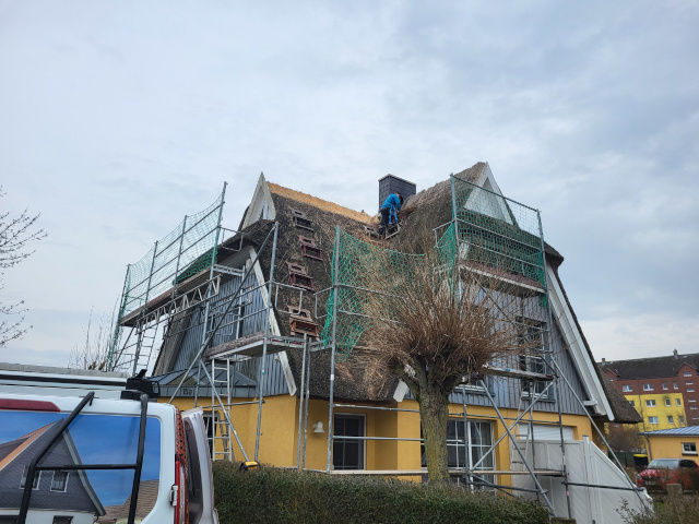  Aktuelles Projekt Reetdach