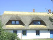 Reetdach Dachreparatur